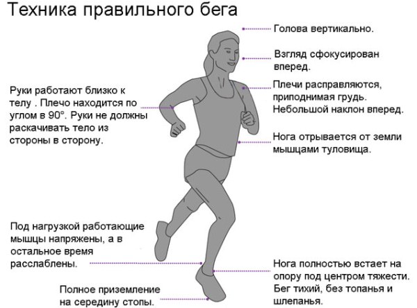 Jogging for weight loss. How much do you need to run, table for women and men