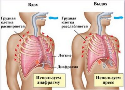 Gymnastics - what is it, types (classification), features, technique, goals