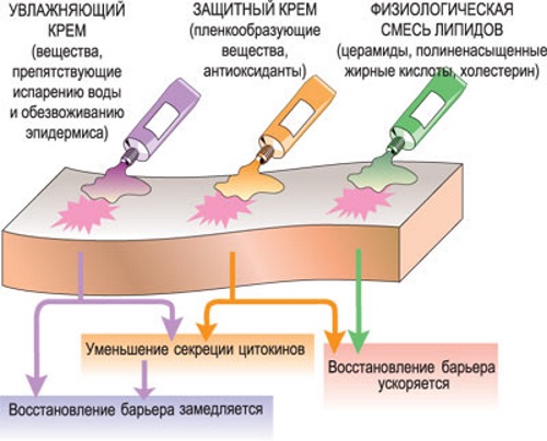 Face creams in pharmacies