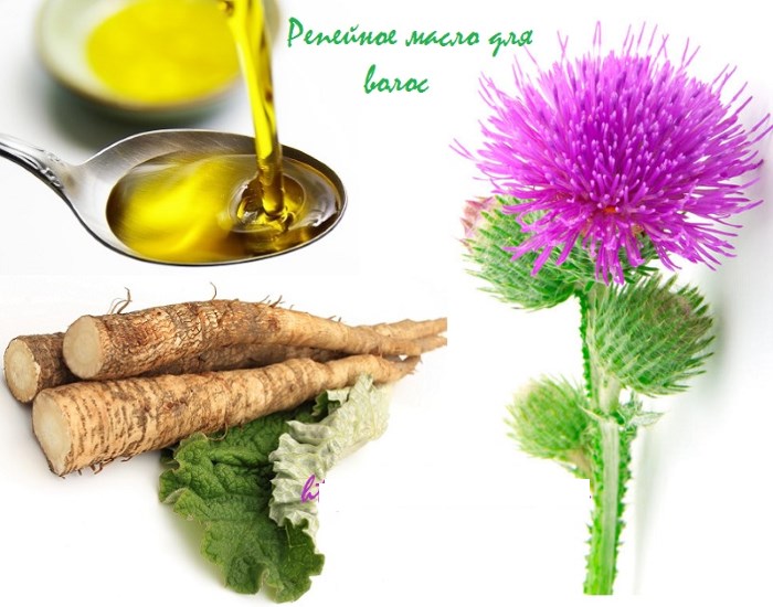 Burdock oil for hair. How to use, method of application, photos, reviews