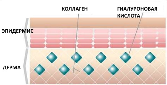 Plasma therapy - plasmolifting of the skin of the face and neck, indications, contraindications, photos, price of the procedure, reviews