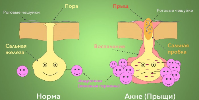 Plasma therapy - plasmolifting of the skin of the face and neck, indications, contraindications, photos, price of the procedure, reviews