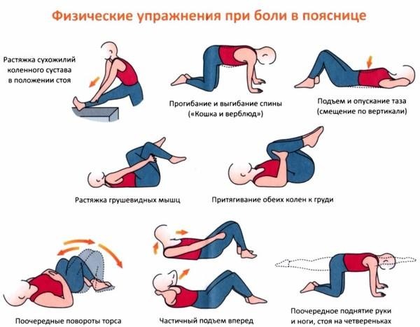 Exercises for the back, posture of women, with osteochondrosis, scoliosis, hernia. Training with and without dumbbells at home