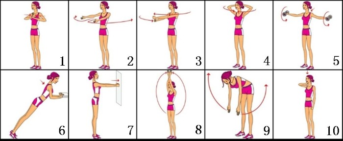 How to quickly pump up the muscles of the arms, sternum, back, legs, forearms, lower back for a girl from scratch