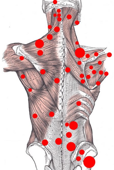 Myofascial massage - what is it, learning how to massage the face, body, back. Photo, video lessons by Shubina