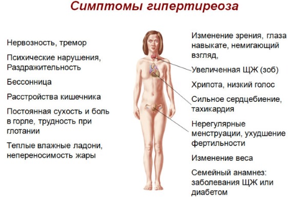 The hormone TSH - what is it, the rate of thyroid hormone in women, treatment of low and high levels