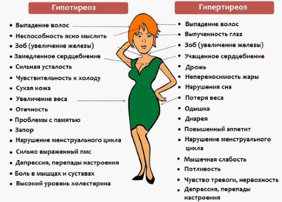 The hormone TSH - what is it, the rate of thyroid hormone in women, treatment of low and high levels