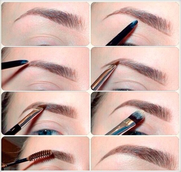 How to paint eyebrows with eyebrow shadows, paint, henna, pencil. Photo instructions