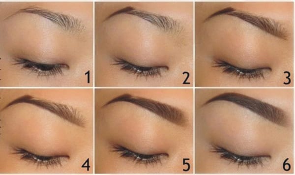 How to paint eyebrows with eyebrow shadows, paint, henna, pencil. Photo instructions