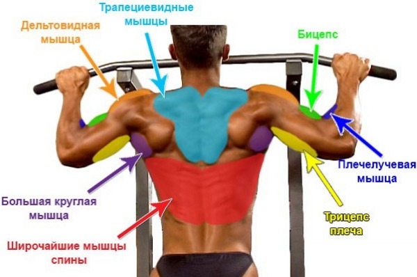 How to learn to pull up on a horizontal bar from scratch at home