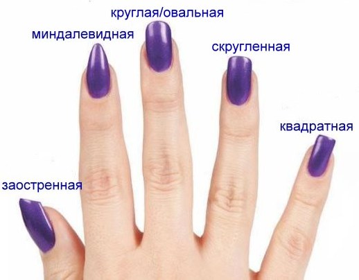 Bella manicure a casa. Idee per una manicure alla moda, semplice e originale: istruzioni passo passo con una foto