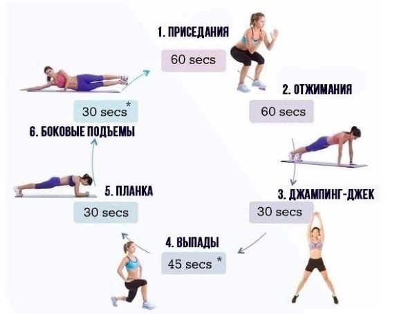 Gym training program for women. Fitness in the gym for beginners, first workouts, exercises