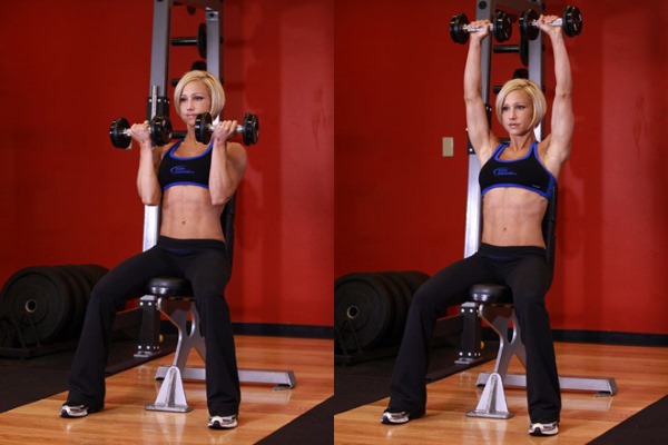 Exercises on the shoulders in the gym for girls. Workout rules