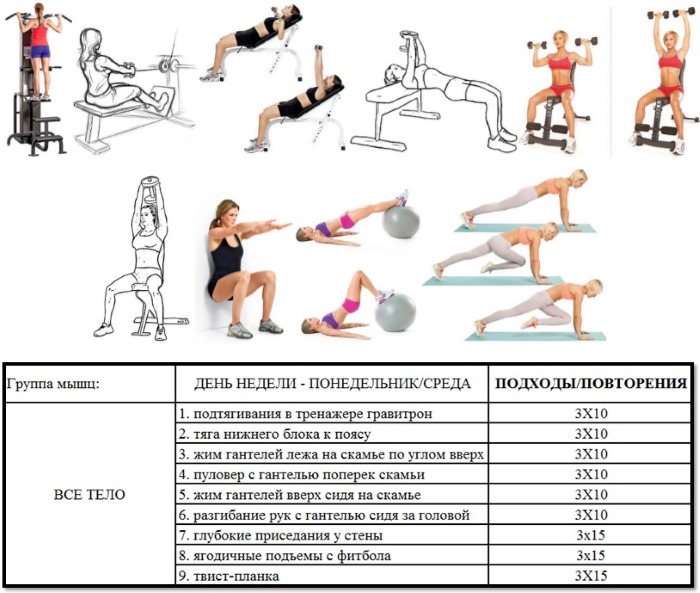 Exercises on the shoulders in the gym for girls. Workout rules