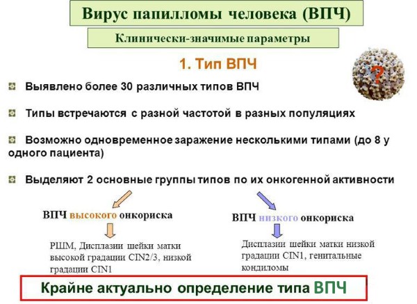 HPV in women - what is it, symptoms, types, how is it transmitted, treatment of human papillomavirus in gynecology