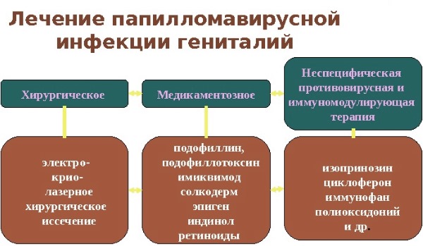 HPV in women - what is it, symptoms, types, how is it transmitted, treatment of human papillomavirus in gynecology