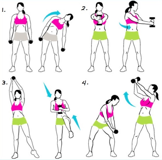 How to pump up the arms of a girl at home and in the gym. Training program