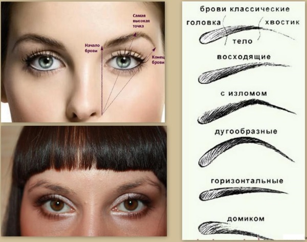 How to properly paint eyebrows with a pencil. Instruction with photo and video