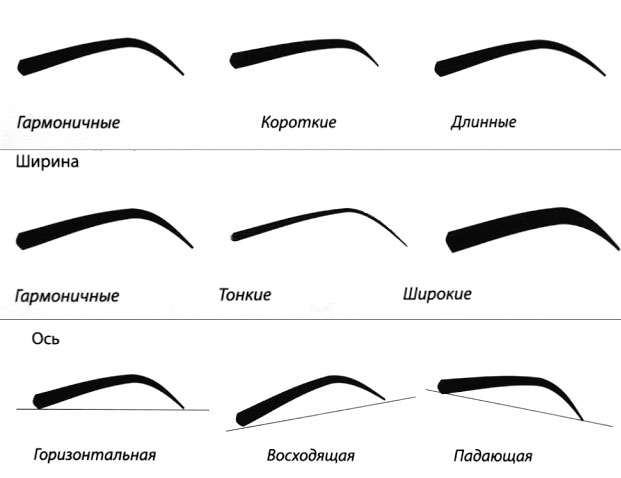 How to properly paint eyebrows with a pencil. Instruction with photo and video