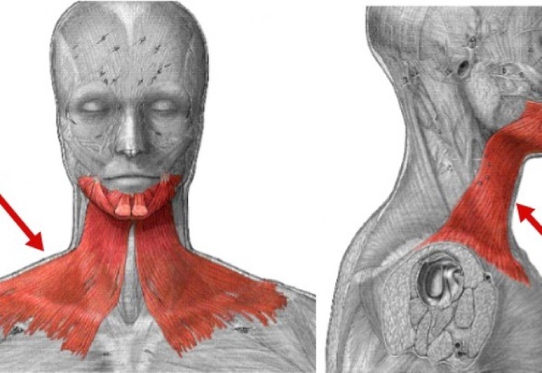 How to remove a double chin at home. Exercises for men, women, thin girls in a short time