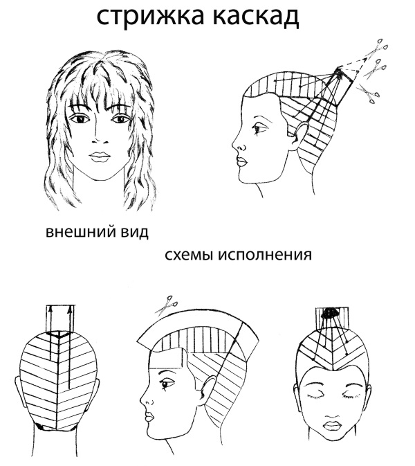 Cascade haircut for medium hair with and without bangs. Who suits, how to cut, photo options