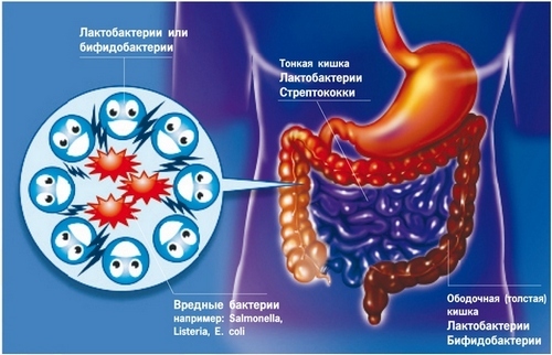 Lactofiltrum per l'acne: recensioni di dermatologi con foto prima e dopo. Istruzioni per l'uso, analoghi, prezzo