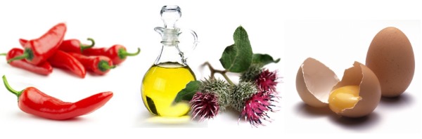 Burdock oil masks for hair. Recipes, home use rules, results