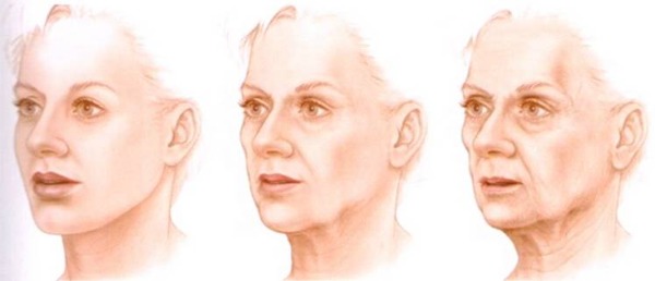 Anatomy of human facial muscles in cosmetology for botox injections. Schemes with descriptions and photos in Latin and Russian