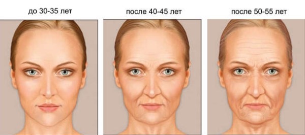 Anatomy of human facial muscles in cosmetology for botox injections. Schemes with descriptions and photos in Latin and Russian