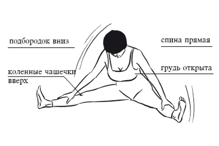 Home stretching exercises for leg muscles for splits, strength training, fitness