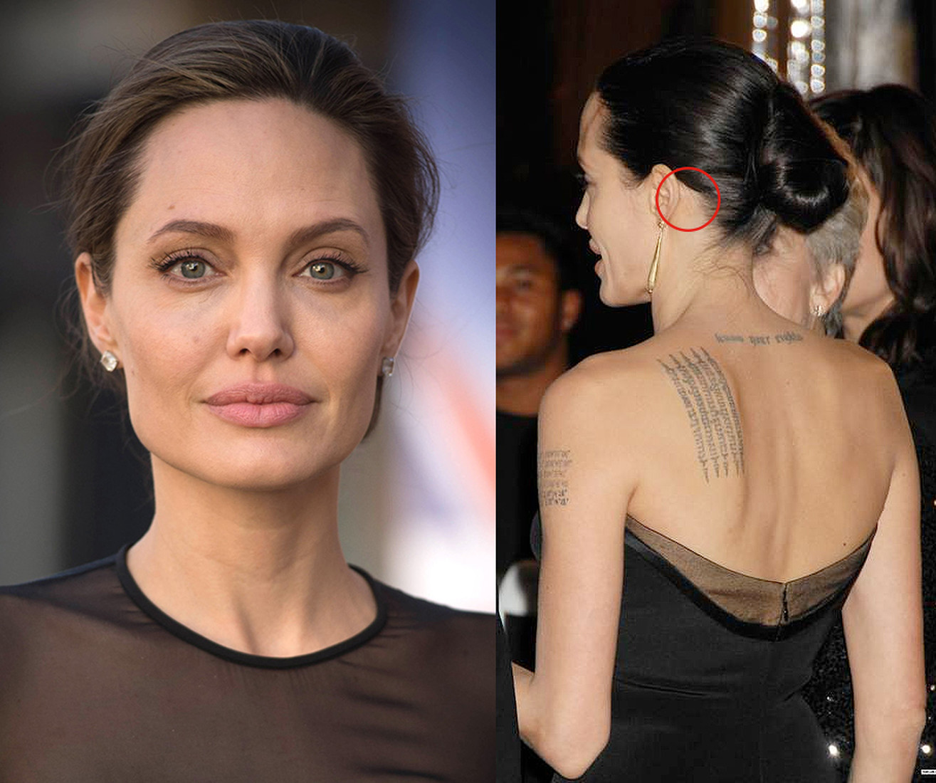 Angelina Jolie prima e dopo la chirurgia plastica. Una selezione di foto dell'attrice prima e dopo la rinoplastica, operazioni di sollevamento del plasma