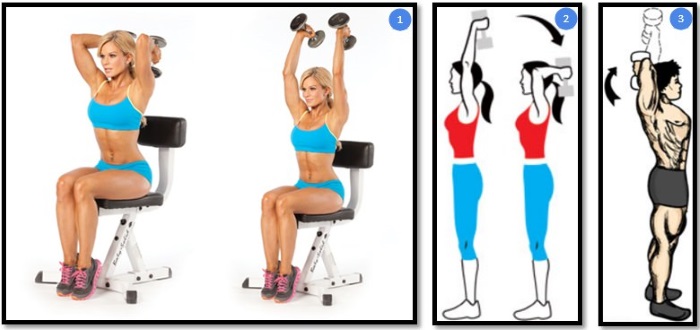 Basic exercises for women for pectoral muscles with dumbbells, barbell, kettlebell, expander, for body weight