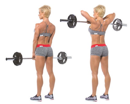 Basic exercises for girls on the shoulders with their own weight, dumbbells, barbell, kettlebell, expander, at home and in the gym