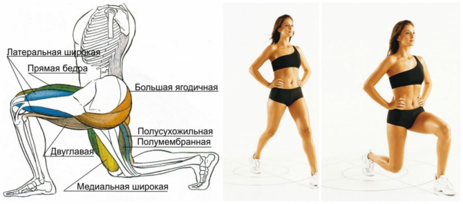 Basic exercises for the buttocks and legs for girls: with dumbbells, elastic band, barbell, weights, expander, fitball, elastic band