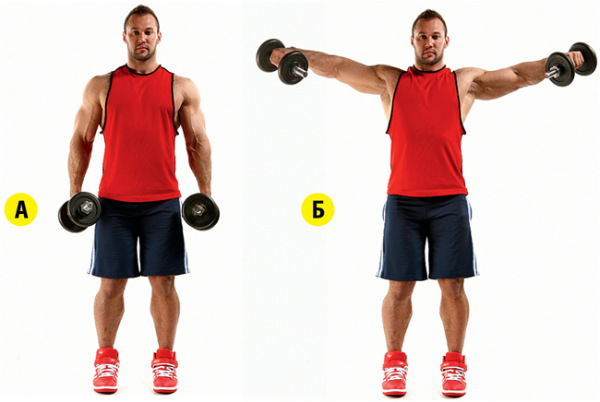 Dumbbell exercises at home. Training program for women and men: pumping up arms, body muscles, weight gain