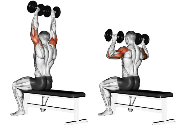 Dumbbell exercises at home. Training program for women and men: pumping up arms, body muscles, weight gain