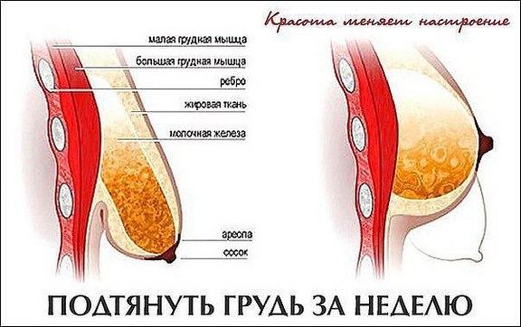 How to pump up the pectoral muscles at home for a girl with dumbbells, push-ups, on the horizontal bar. Training program for a week, a month