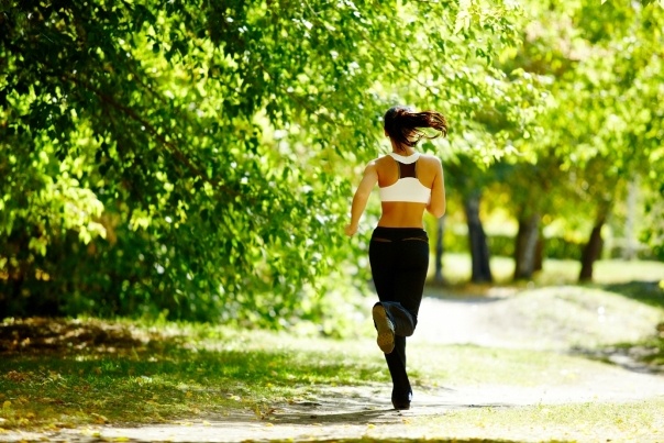 How to pump up your back at home and in the gym for a girl. Exercises with a barbell, dumbbells, on a horizontal bar and without, with your own weight