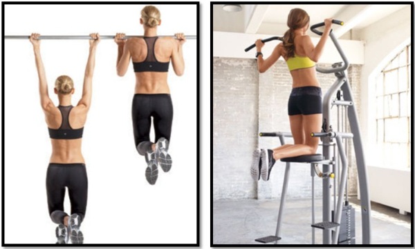 How to pump up your back at home and in the gym for a girl. Exercises with a barbell, dumbbells, on a horizontal bar and without, with your own weight