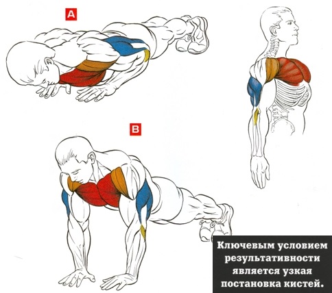 How to pump up at home. Training program for girls and men on the horizontal bar, with the help of dumbbells, without iron and simulators