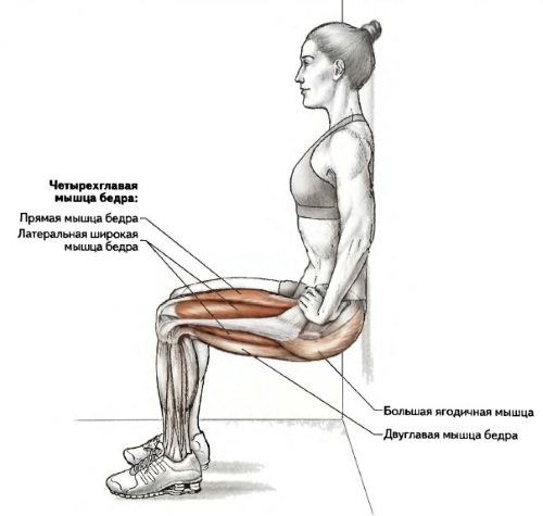 How to pump up at home. Training program for girls and men on the horizontal bar, with the help of dumbbells, without iron and simulators