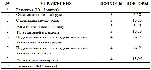 How to pump up at home. Training program for girls and men on the horizontal bar, with the help of dumbbells, without iron and simulators