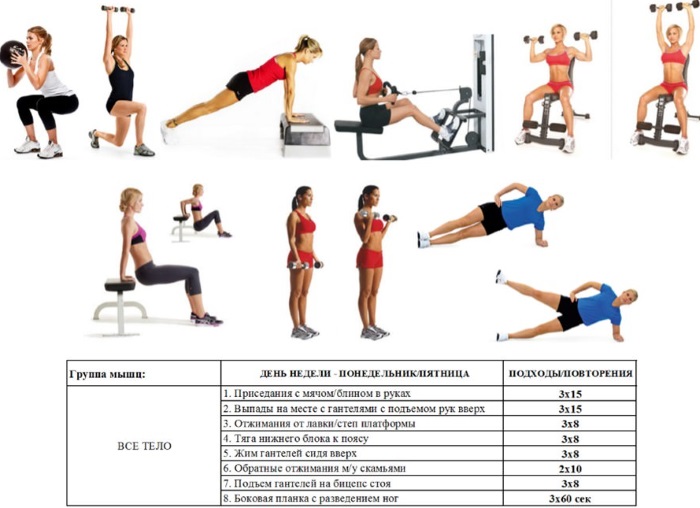 How to draw up a training program for girls for weight loss, weight gain, for all muscle groups for beginners at home and in the gym