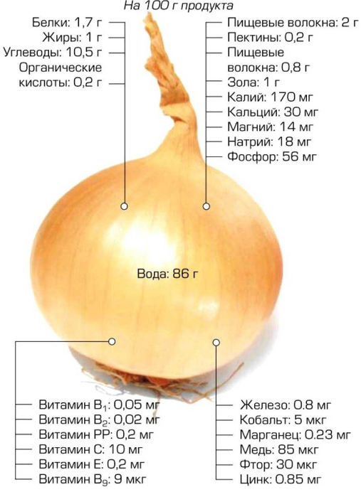 Maschera alla cipolla per la caduta dei capelli. Quante volte puoi preparare ricette efficaci a casa. Foto prima e dopo l'applicazione