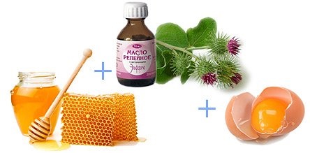 Masks for hair growth from eggs, honey, burdock oil, other recipes at home. Rules for preparation and use