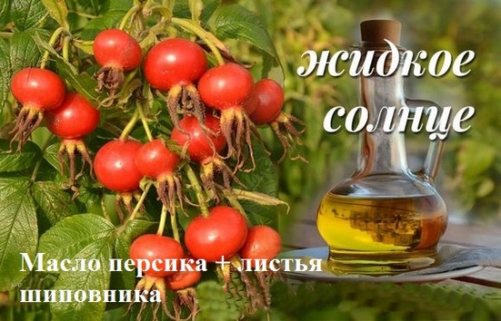 Peach oil. Properties and application in cosmetology, medicine and cooking. Prescriptions for the skin of the face and body, nails, hair, in the treatment of diseases