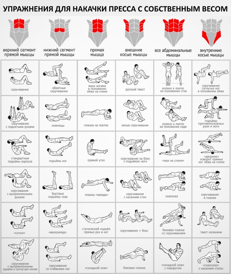 A program for pumping the press at home and in the gym for girls and men. Workout Exercise Table