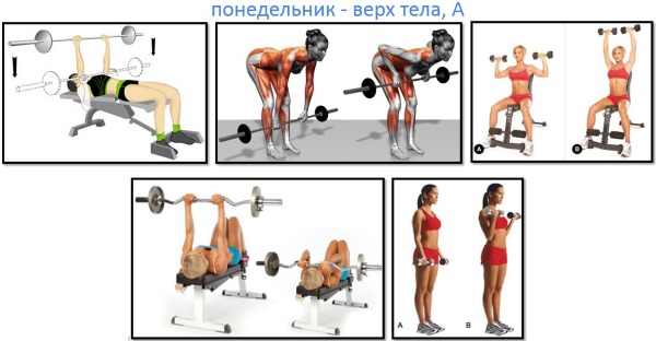 Training program 3 times a week: a basic course of exercises for beginners for relief and muscle gain