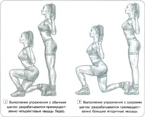 Weight training program for girls in the gym, at home. Exercise table, number of repetitions and approaches