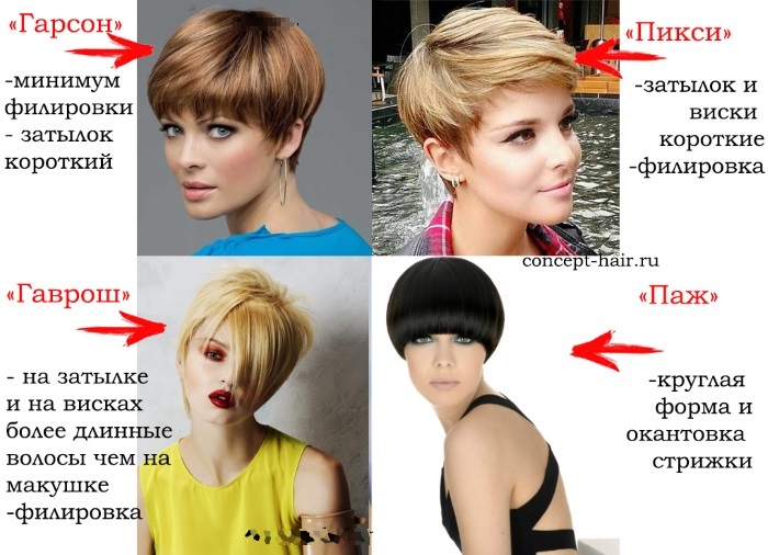 Fashionable women's haircuts in 2020 for short hair. Photo, front and back views